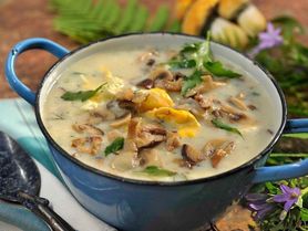 10 receptů na ty nejlepší houbové polévky: Uvařte si poctivou a hustou kulajdu, liškajdu nebo falešnou dršťkovku z hlívy