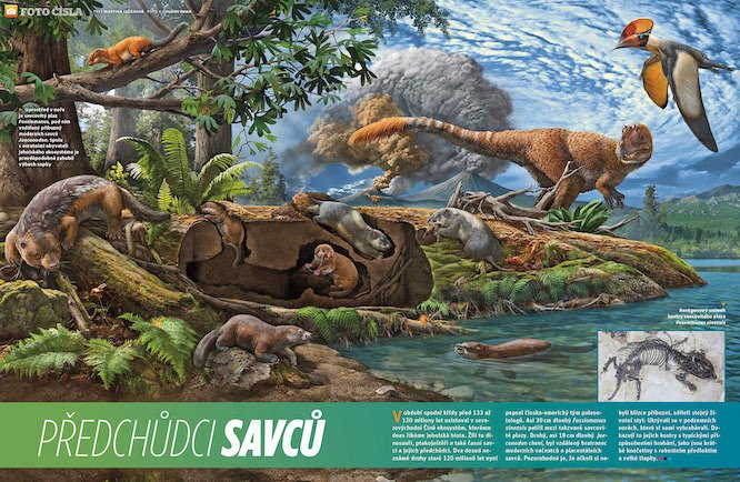 V období spodní křídy před 133 až 120 miliony let existoval v severovýchodní Číně ekosystém, kterému dnes říkáme dnes říkáme jeholská biota. Víc prozradí časopis ABC č. 10/2021