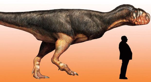 Žádná legrace: Největší abelisaurid byl vrcholovým predátorem
