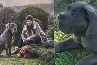 Zpěvačka Anna K. (53): Od rakoviny mi pomohli psi!