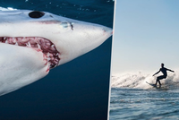 Útok žraloka v Austrálii! O život přišel dvacetiletý surfař