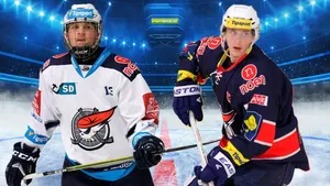 Bejvávalo. Z Chomutova do zámoří. 6 Pirátů, kteří v minulosti odešli do NHL Bejvávalo. Z Chomutova do zámoří. 6 Pirátů, kteří v minulosti odešli do NHL