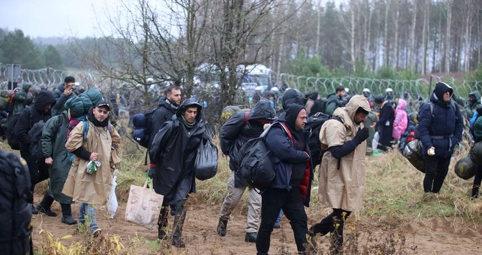 Migrants à la frontière entre la Pologne et la Biélorussie