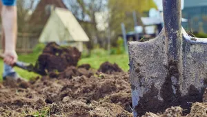 Bohatší úroda a méně práce na jaře? Dopřejte záhonům na podzim tyto 3 kroky Bohatší úroda a méně práce na jaře? Dopřejte záhonům na podzim tyto 3 kroky