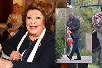 Domácí oslava 91. narozenin Jiřiny Bohdalové: Miliardář s igelitkou a pes, kam se podíváš!