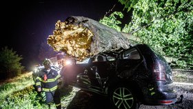 Extrémní bouřky v Česku: Zranění a škody po pádu stromů! Obří kroupy i vichr o rychlosti 130 km/h