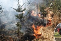 Velký lesní požár v Bruntále: Hořely tři hektary lesa