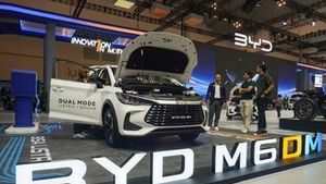 BYD vstupuje do českého hokeje. Miliardářův klub bude mít čínskou značku v názvu BYD vstupuje do českého hokeje. Miliardářův klub bude mít čínskou značku v názvu
