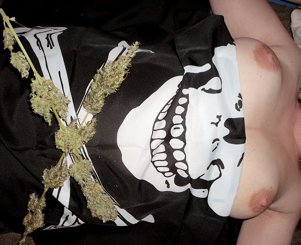 Cannabis akt, 1. místo podle čtenářů: Pirátka