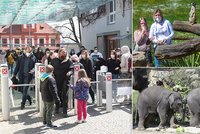 Nával v zoo napříč Českem a dlouhé fronty na lístky. Policie uzavírala dopravu