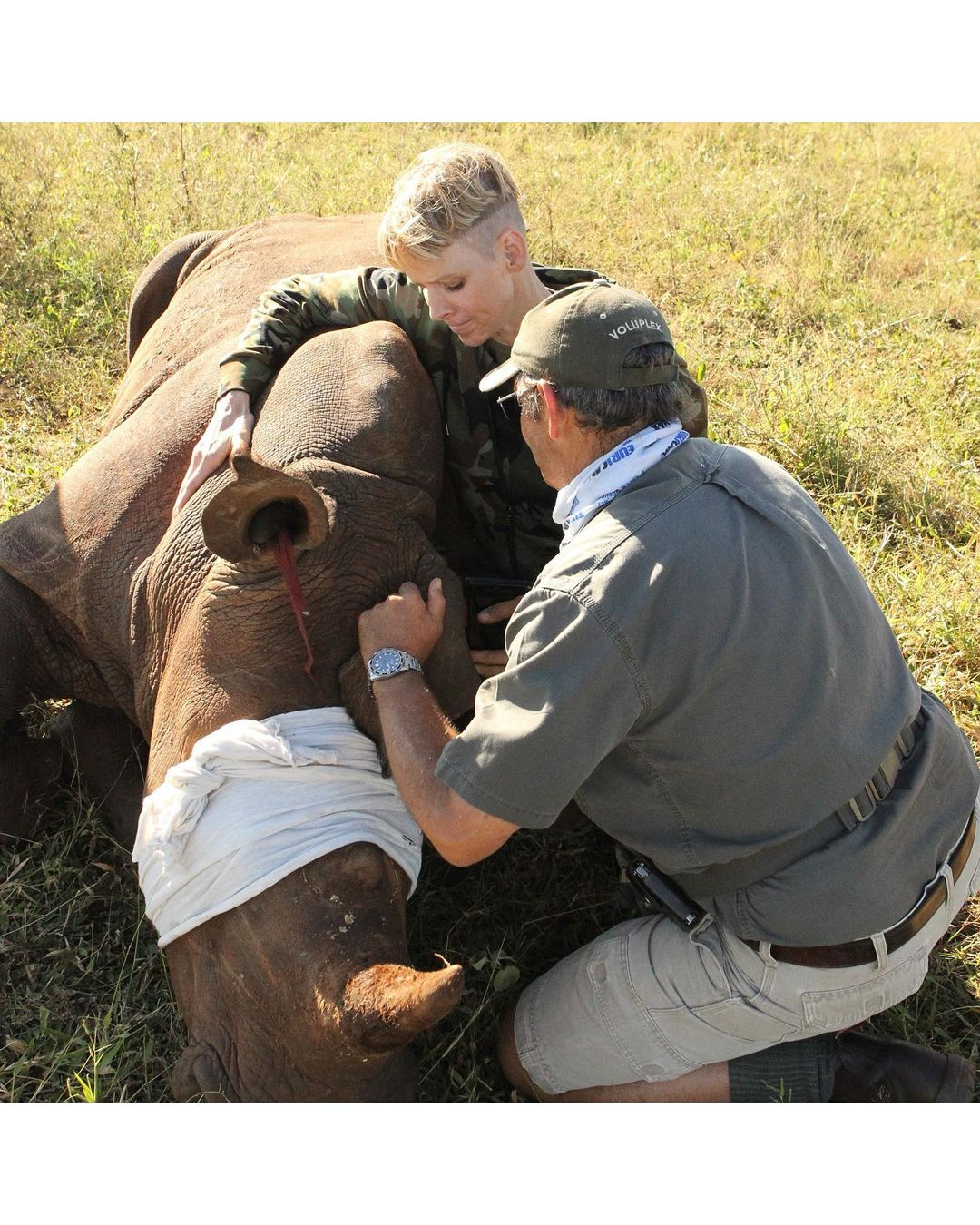 Monacká kněžna Charlene se vydala s vyholenou hlavou do Afriky zachraňovat nosorožce.