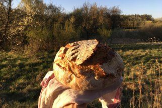 Chleba z kvásku: Recept na klasickou Šumavu pro začátečníky