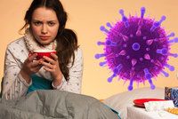 Chřipka v Česku dál zabíjí, epidemie i přes úbytek nemocných trvá. Jak chorý je váš kraj?
