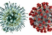 Koronavirus versus chřipka: Jaká nemoc je zákeřnější a jaké jsou příznaky?