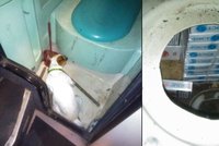 Cigarety schovali pod záchodem autobusu: Pašeráky odhalil pes