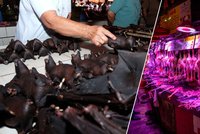 Šokující důkazy z Číny: Nakažená zvířata se na trzích ve Wu-chanu prodávala už před lety