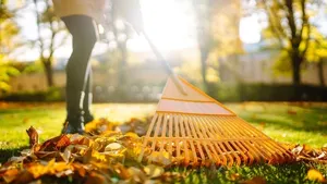 Co s rostlinami v říjnu? Kompletní návod na podzimní péči o zahradu, balkon i pokojovky