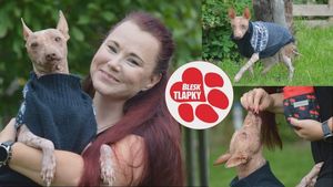 Další pes z problémového chovu: Lemon (9) postupně ochrne! Pomohou Blesk tlapky Další pes z problémového chovu: Lemon (9) postupně ochrne! Pomohou Blesk tlapky
