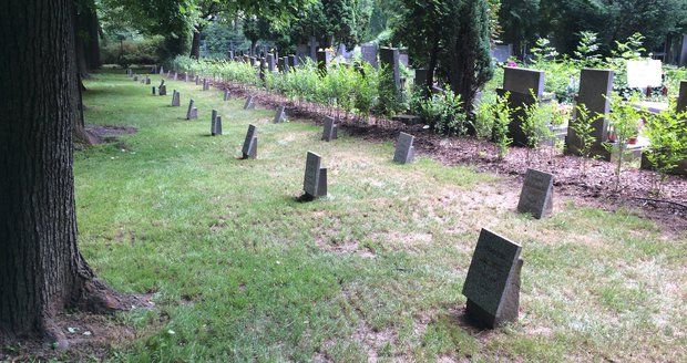Rozsáhlá exhumace masových hrobů v Ďáblicích? Expert památkářů se přiklání k variantě ponechat místo v pietě bez zásahu.