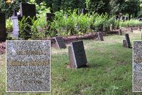 Kruté osudy utýraných miminek z Ďáblického hřbitova: Boženka žila jen den, dvojčátka bojovala déle