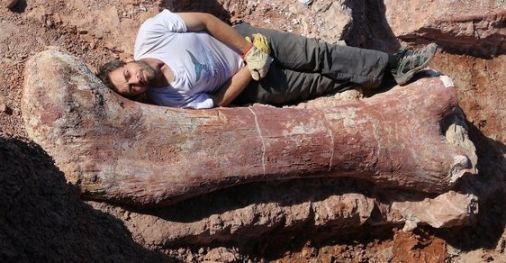 Vědci objevili největšího tvora, který kdy chodil po Zemi, dinosaura, který měl délku 40 metrů