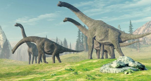 Rok dinosaura: Měl 372 dní!