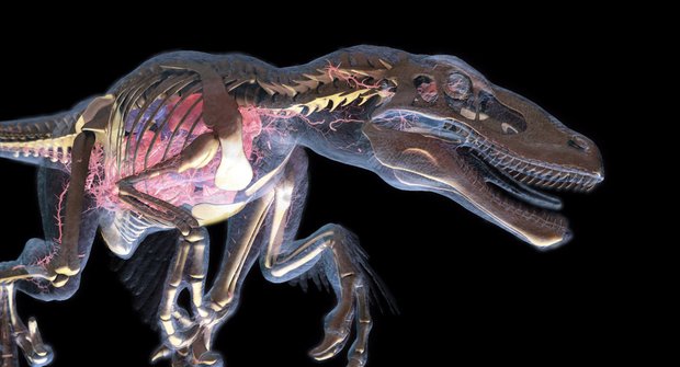 Dinosauři se vracejí: Co vyprávějí staré kosti? + soutěž uvnitř