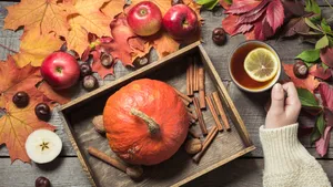Dnes nastala podzimní rovnodennost: Čím je tento přelomový den tak výjimečný?