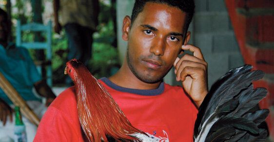 Dominikánská republika: Mužské ego a kohoutí krev