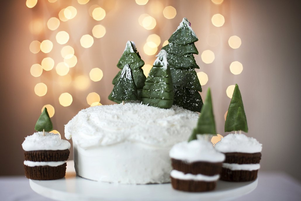 Vánoční období nemusí být jen ve znamení cukroví. Upečte dort ve vánočním stylu, se kterým zazáříte.