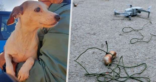 Zatoulaného psa se podařilo nalákat díky dronu se zavěšenou klobásou.