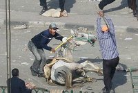 Káhira v krvi: Mubarakovi stoupenci zabíjeli demonstranty