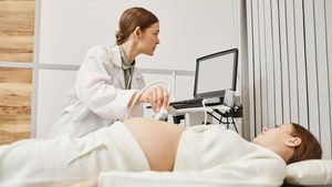 Embrya už pomáhá vybrat AI, úspěch ale ovlivní i strava a psychika. Jaká je realita umělého oplodnění? Embrya už pomáhá vybrat AI, úspěch ale ovlivní i strava a psychika. Jaká je realita umělého oplodnění?