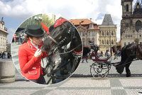 Bouřlivá diskuse kolem zákazu koňských povozů v Praze: Magistrát zřídí pracovní skupinu