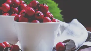 Hloh jako lék i lahůdka: Které hložinky sbírat a co z nich vyrobit? Hloh jako lék i lahůdka: Které hložinky sbírat a co z nich vyrobit?
