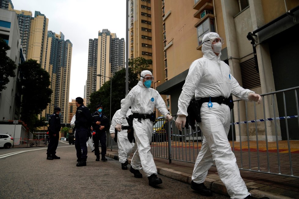 Testování v domě v Hongkongu, kde údajně covid rozšířili infikovaní křečci (22.1.2022)