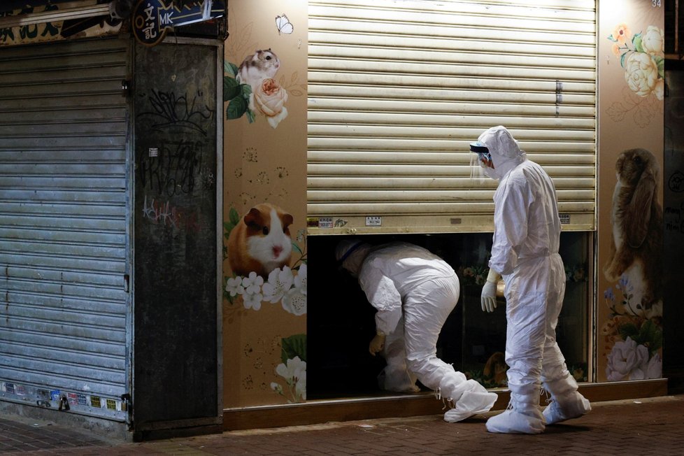 Kontrola zverimexu v Hongkongu, ve městě se nakazili křečci.