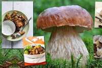 8 tipů: Jak co nejlépe zpracovat houby!