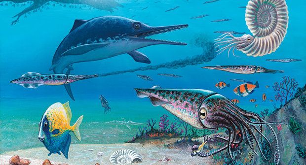 Přepálený start: Nadvláda pravěkých ještěrů ichtyosaurů byla krátká