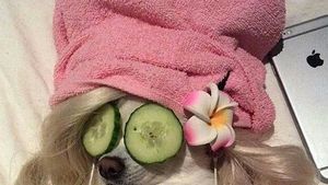 Ingredient Spotlight: co se skrývá ve tvé skincare? Ingredient Spotlight: co se skrývá ve tvé skincare?