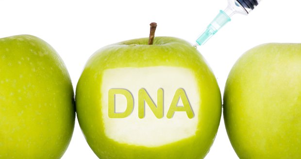 Principem diety podle DNA je vytipování vhodných genů, které ovlivňují metabolismus tuků a cukrů v těle