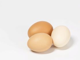 Jak poznáte čerstvá vejce? Jak je skladovat a jak dlouho vydrží? Vše o vejcích přehledně a podrobně