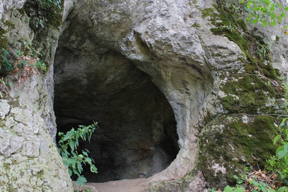 Opatovská jeskyně, neboli Jeskyně pod cestou patří mezi chráněné přírodní památky