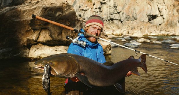 Tajmena, největší lososovitou rybu, ulovil v povodí Malého Jeniseje na mongolsko-ruských hranicích.