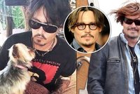 Johnny Depp si za pašování psích mazlíčků do Austrálie může jít sednout až na 10 let!
