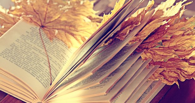 Podzimní plískanice jsou pro čtení ideální počasí