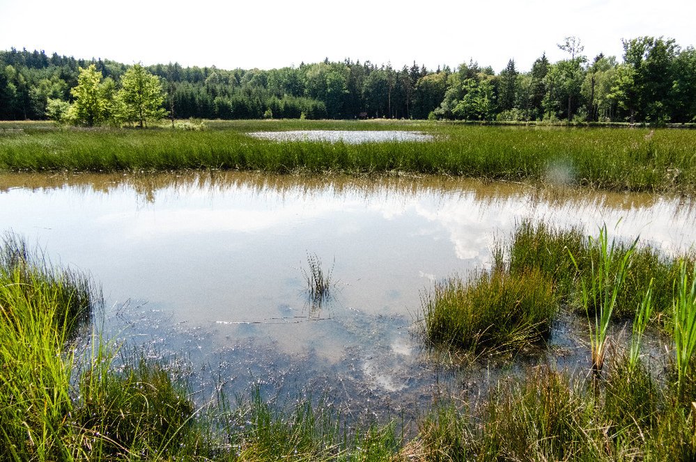 Oblast Kokotsko a její rybníky nedaleko Plzně