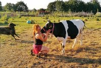 Pomazlit krávu, nakrmit čuníka nebo vypěstovat okurky přímo v Praze? Zkuste komunitní zahradu Pastvina