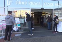 Úřad práce v Brně oblehly stovky nezaměstnaných: Mám pět dětí a potřebuji je živit