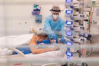 Nemocnicím v Praze dochází lůžka s plicní ventilací. Krizi zažívá obzvláště VFN